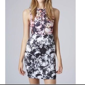 TOPSHOP Petite floral bodycon scuba cocktail dress sleeveless pink gray black
